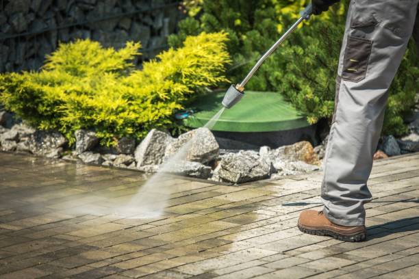 Best Dumpster Area Cleaning  in Herricks, NY